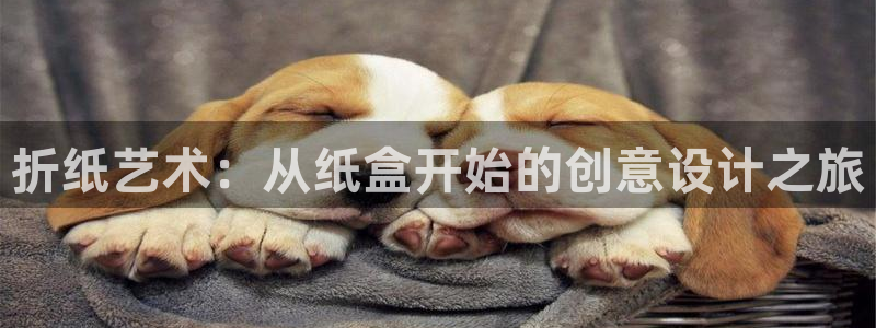 龙八国际手机下载安装：折纸艺术：从纸盒开