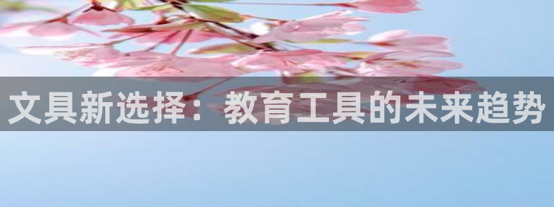 龙八国际mg老虎机：文具新选择：教育工具