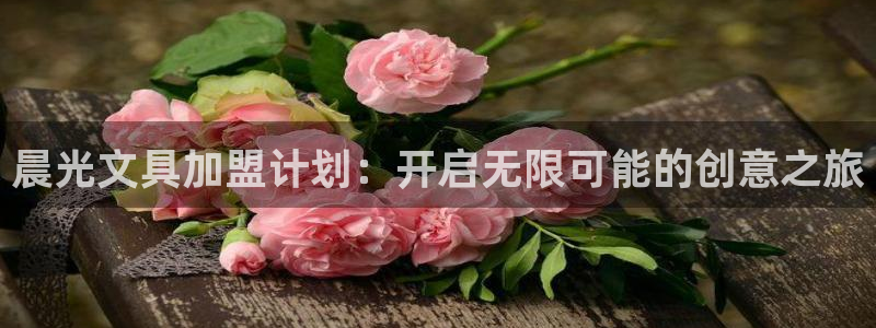 龙八国际备用地址：晨光文具加盟计划：开启