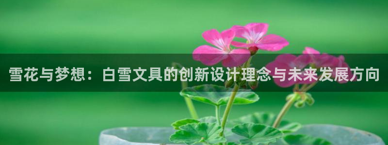 龙八国际pt老虎机官网：雪花与梦想：白雪