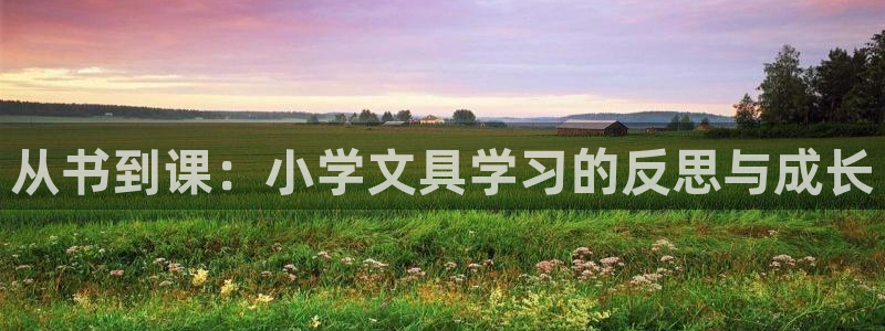 龙八国际平台yb48点top：从书到课：