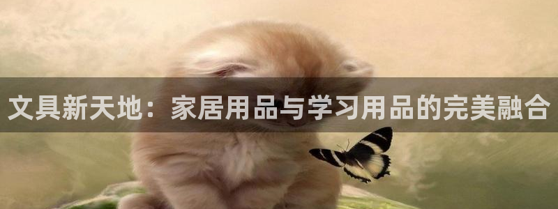 龙八国际客户端下载苹果：文具新天地：家居