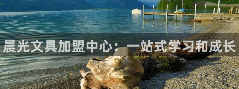 龙八国际官网app：晨光文具加盟中心：一