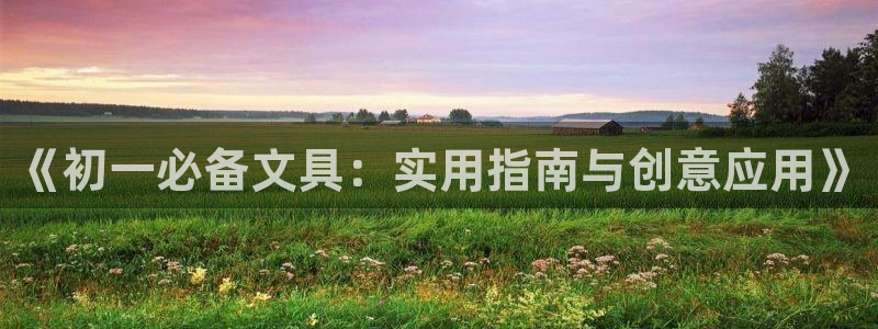 龙八国际网：《初一必备文具：实用指南与创