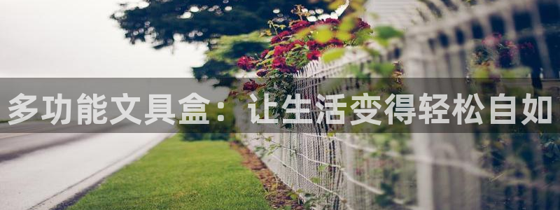 龙八国际集团有限公司：多功能文具盒：让生