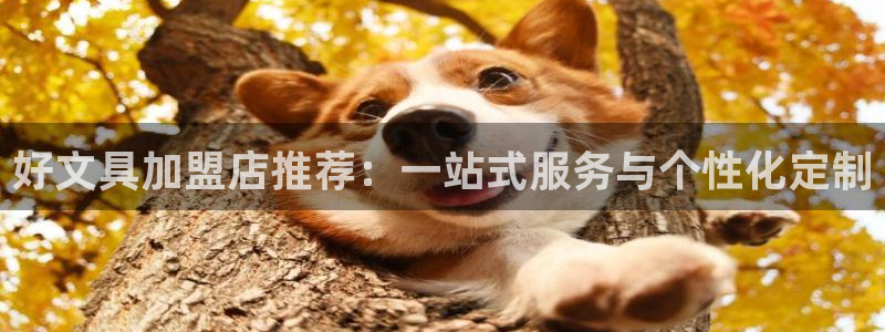 天津龙八国际：好文具加盟店推荐：一站式服