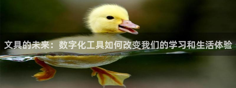 龙八国际苹果下载：文具的未来：数字化工具