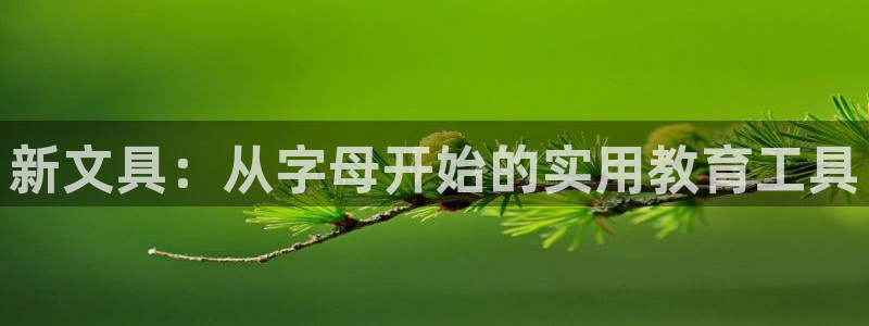 龙八国际体育：新文具：从字母开始的实用教