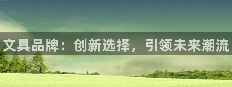 龙八国际app：文具品牌：创新选择，引领