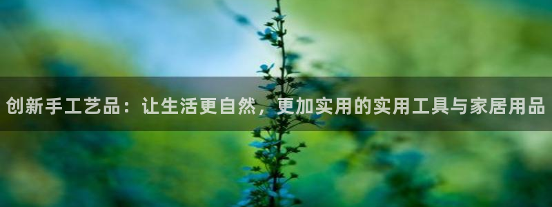 龙八国际app官方下载手机端：创新手工艺