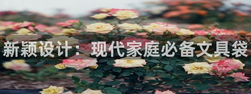 龙八国际正规吗：新颖设计：现代家庭必备文