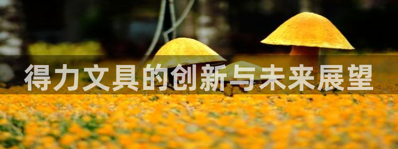 龙八国际提现待审核：得力文具的创新与未来
