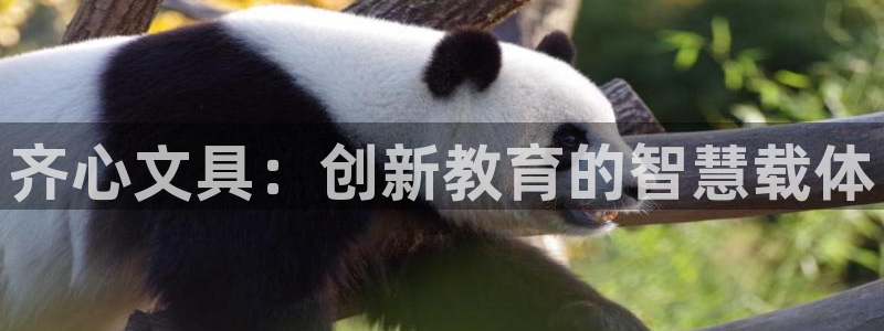 龙八国际报警：齐心文具：创新教育的智慧载