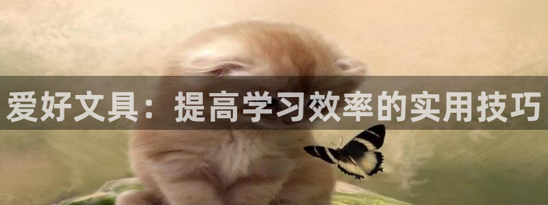 龙八国际app客户端下载苹果：爱好文具：