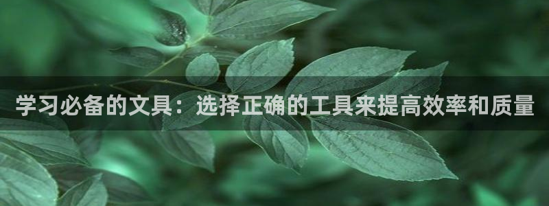 龙八国际Pt老虎机：学习必备的文具：选择