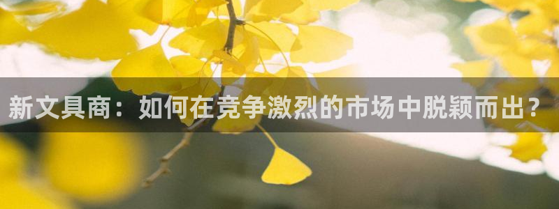 龙八国际手机版下载平台：新文具商：如何在