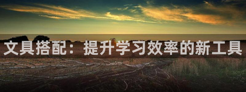 龙八国际手机版入口：文具搭配：提升学习效