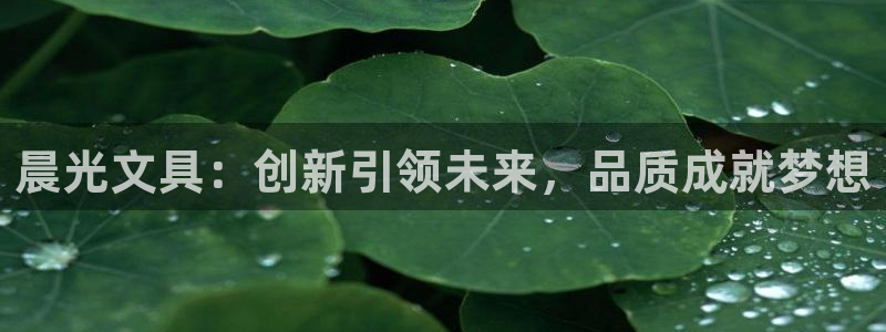 龙八国际是个什么游戏：晨光文具：创新引领