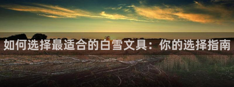 龙八国际pt娱乐：如何选择最适合的白雪文
