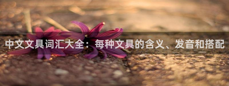 龙八国际app电话：中文文具词汇大全：每