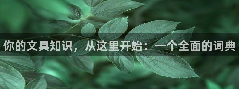 龙八国际服官方：你的文具知识，从这里开始