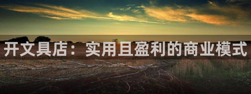 龙八国际手机登录入口：开文具店：实用且盈