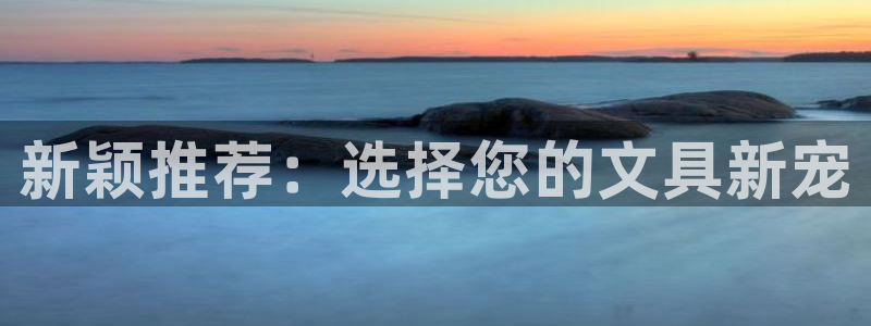 龙八国际图片：新颖推荐：选择您的文具新宠