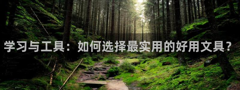 手机版龙八国际服客服：学习与工具：如何选