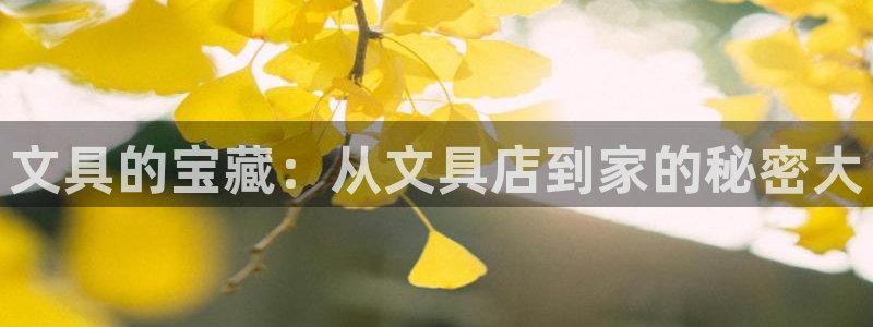 龙八国际技巧：文具的宝藏：从文具店到家的