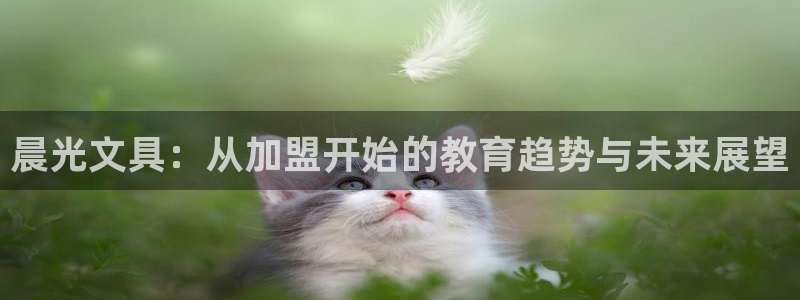 龙八国际pt老虎机官网：晨光文具：从加盟