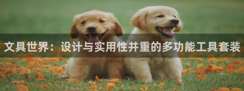 菲律宾龙八国际杀猪：文具世界：设计与实用