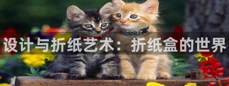 龙八国际手机登录入口：设计与折纸艺术：折