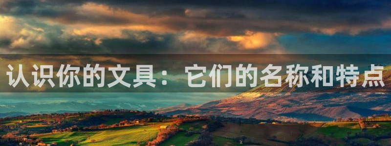 项目名称龙八国际：认识你的文具：它们的名