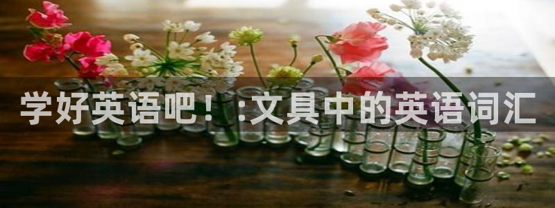 龙八国际不支持苹果手机：学好英语吧！:文