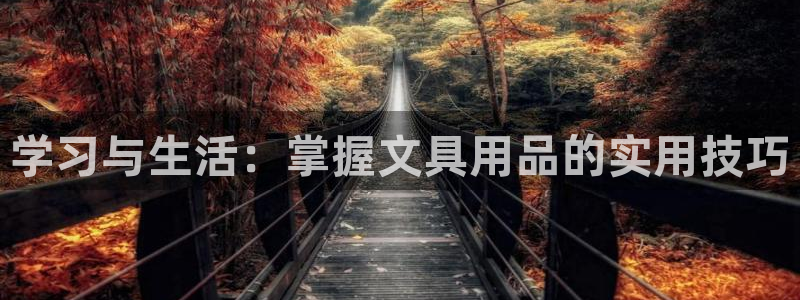 龙八国际手机端：学习与生活：掌握文具用品