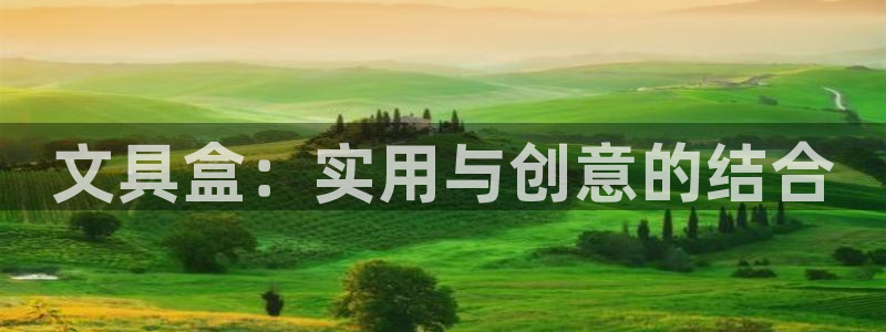 菲律宾龙八国际：文具盒：实用与创意的结合