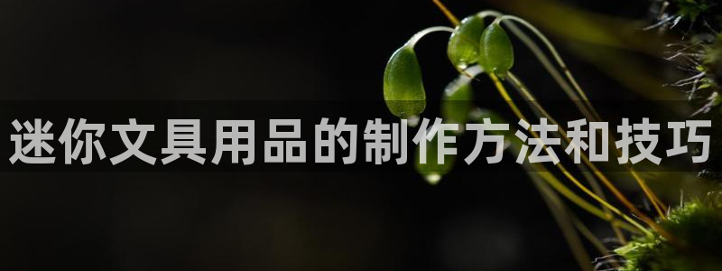 龙八国际最新官网：迷你文具用品的制作方法