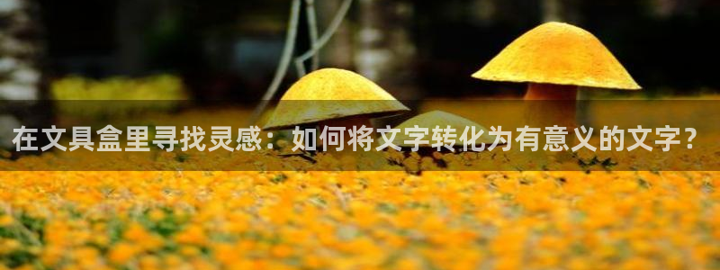 龙八国际网b48点tv：在文具盒里寻找灵