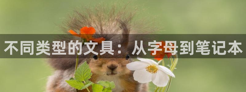 龙八国际网站全网：不同类型的文具：从字母