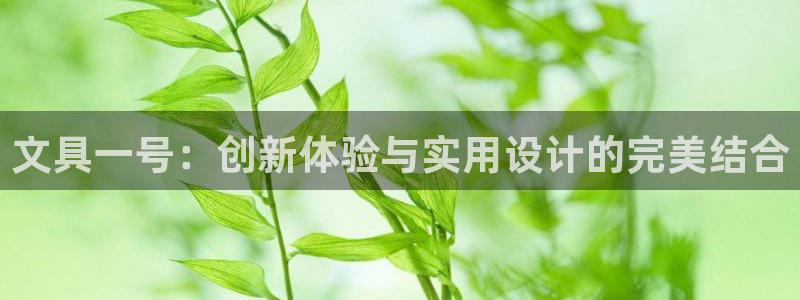 龙八国际娱乐网站多少：文具一号：创新体验