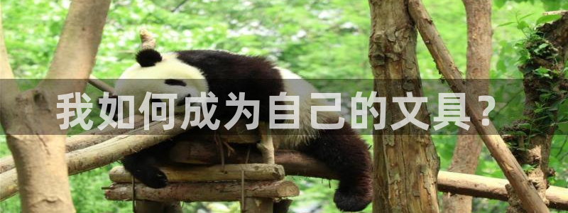 龙八国际娱乐老虎机：我如何成为自己的文具