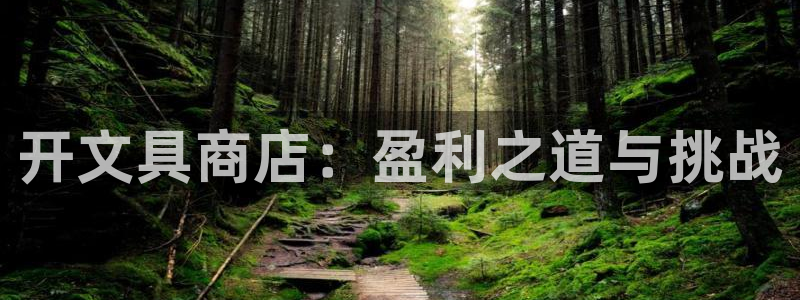 龙八国际服官网下载安卓：开文具商店：盈利