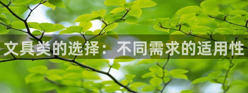 l龙八国际网页登录：文具类的选择：不同需