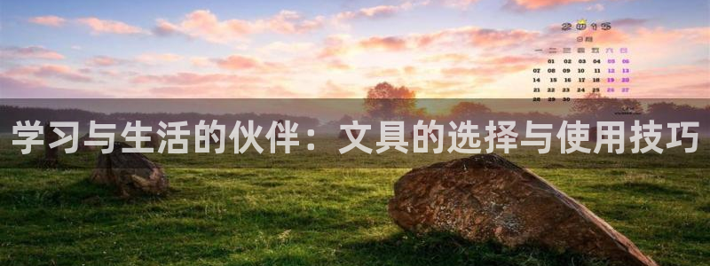 手机版龙八国际服客服：学习与生活的伙伴：