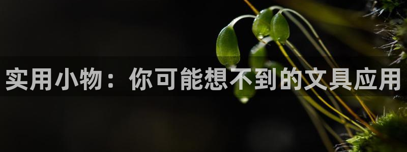 龙八国际pt游戏下载：实用小物：你可能想