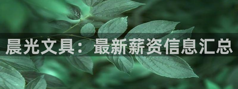 龙八国际娱乐网址：晨光文具：最新薪资信息