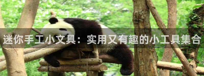 龙八国际app下载安卓：迷你手工小文具：