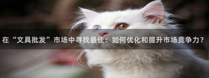 龙八国际手机版登录首页：在“文具批发”市