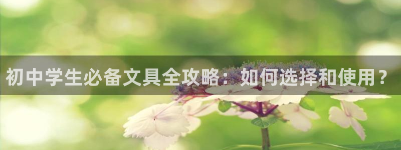 龙八国际网页：初中学生必备文具全攻略：如