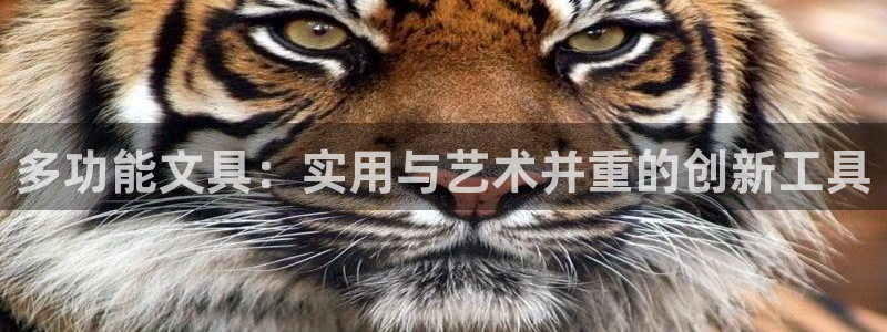 龙八国际优惠券有什么用：多功能文具：实用